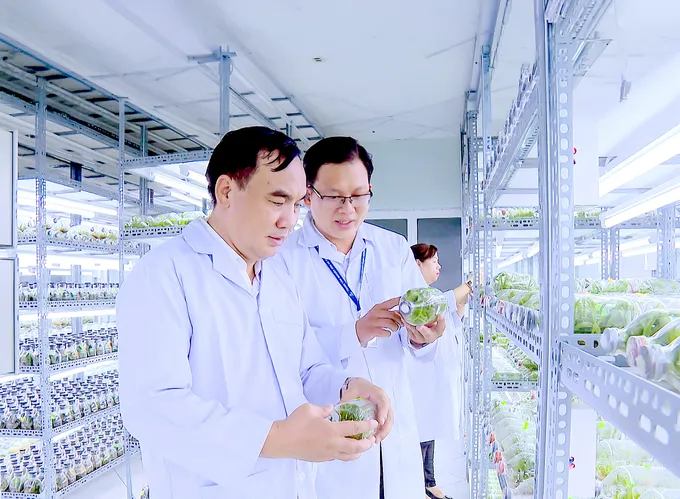 Đầu tư “mũi nhọn” công nghệ sinh học