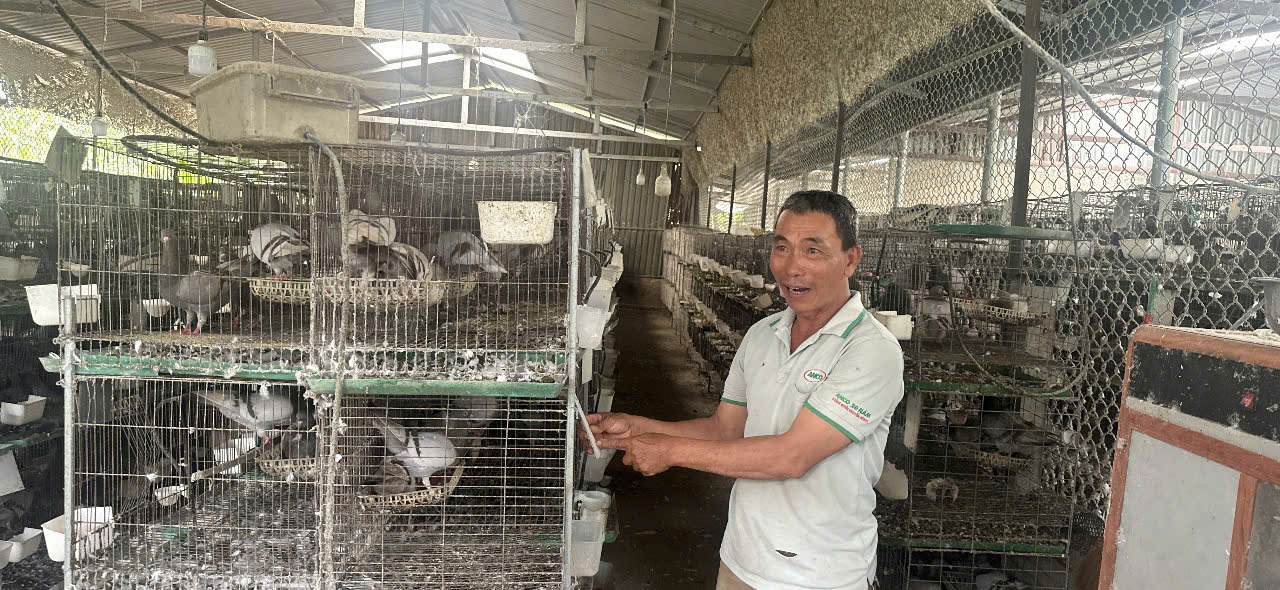 HỘI ĐỒNG NHÂN DÂN PHƯỜNG TÂN THÀNH: GIÁM SÁT TRỰC TIẾP  ĐỐI VỚI HOẠT ĐỘNG CHĂN NUÔI TRÊN ĐỊA BÀN PHƯỜNG