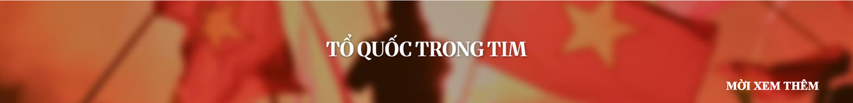 Concert Tổ quốc trong tim