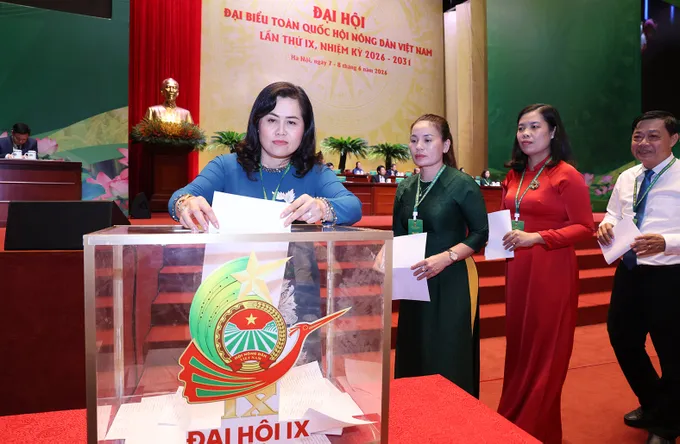 Đoàn kết - Dân chủ - Đột phá - Hợp tác - Phát triển