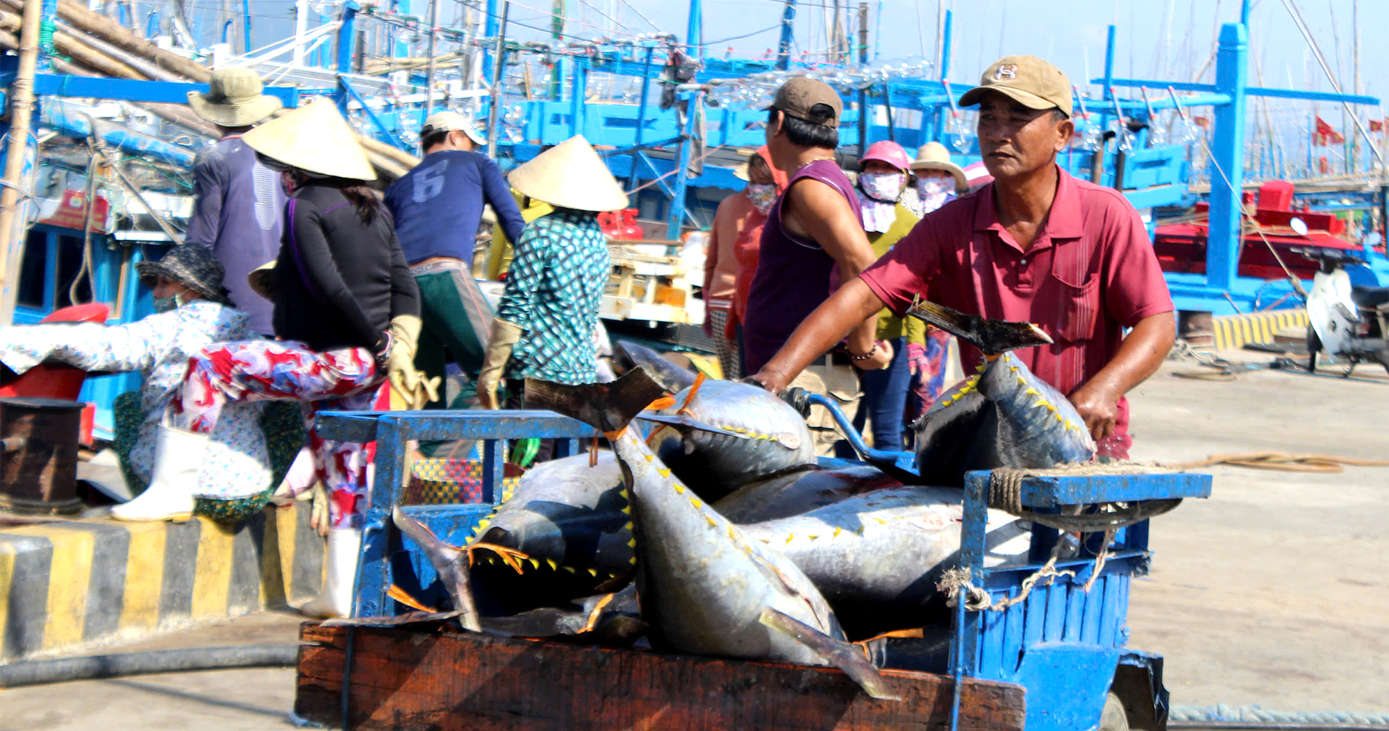 Mạnh về biển, phát triển bền vững từ biển - Bài 1: Nỗi niềm chưa giàu từ biển