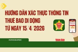 [Infographic] Hướng dẫn xác thực thông tin thuê bao di động từ ngày 15/4/2026