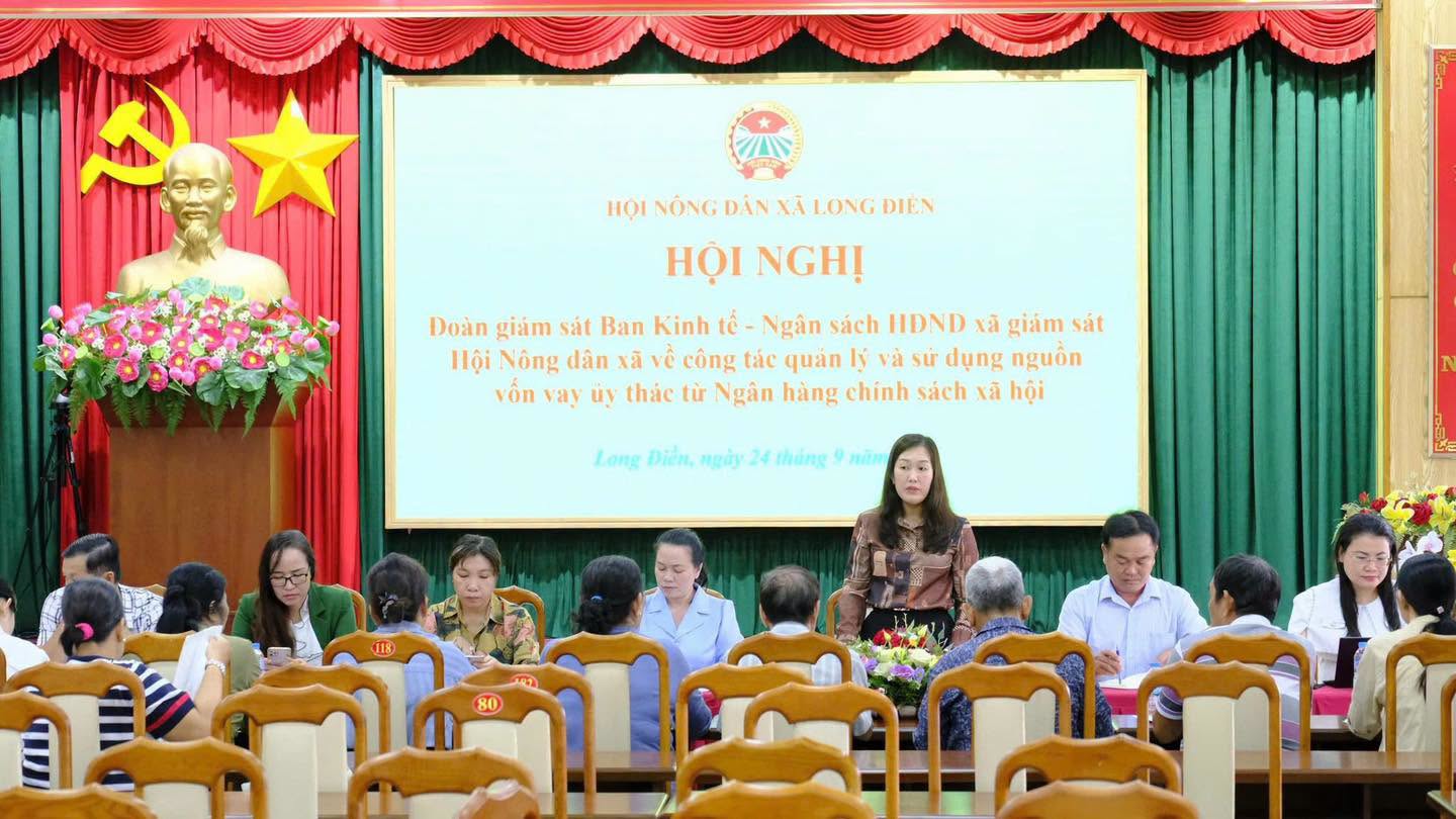 BAN KINH TẾ – NGÂN SÁCH HĐND XÃ LONG ĐIỀN GIÁM SÁT VIỆC QUẢN LÝ NGUỒN VỐN VAY ỦY THÁC TỪ NGÂN HÀNG CHÍNH SÁCH XÃ HỘI QUA HỘI NÔNG DÂN