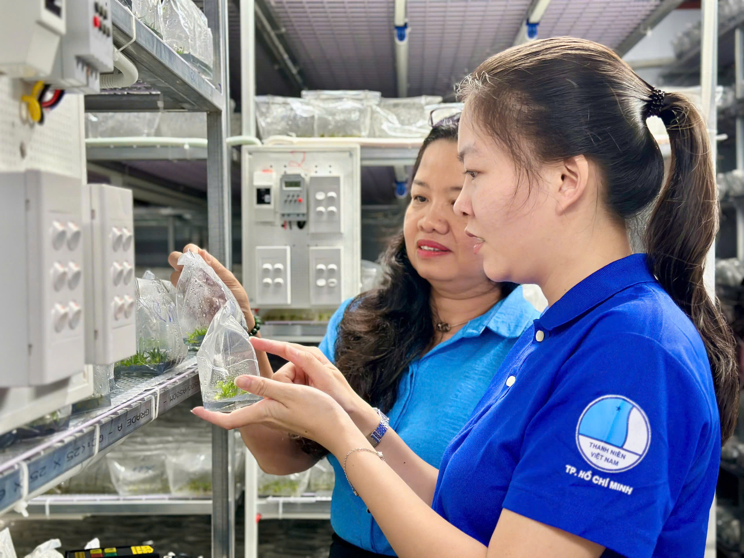 Đoàn giám sát của Thường trực HĐND xã khảo sát tại HTX Phước Thành