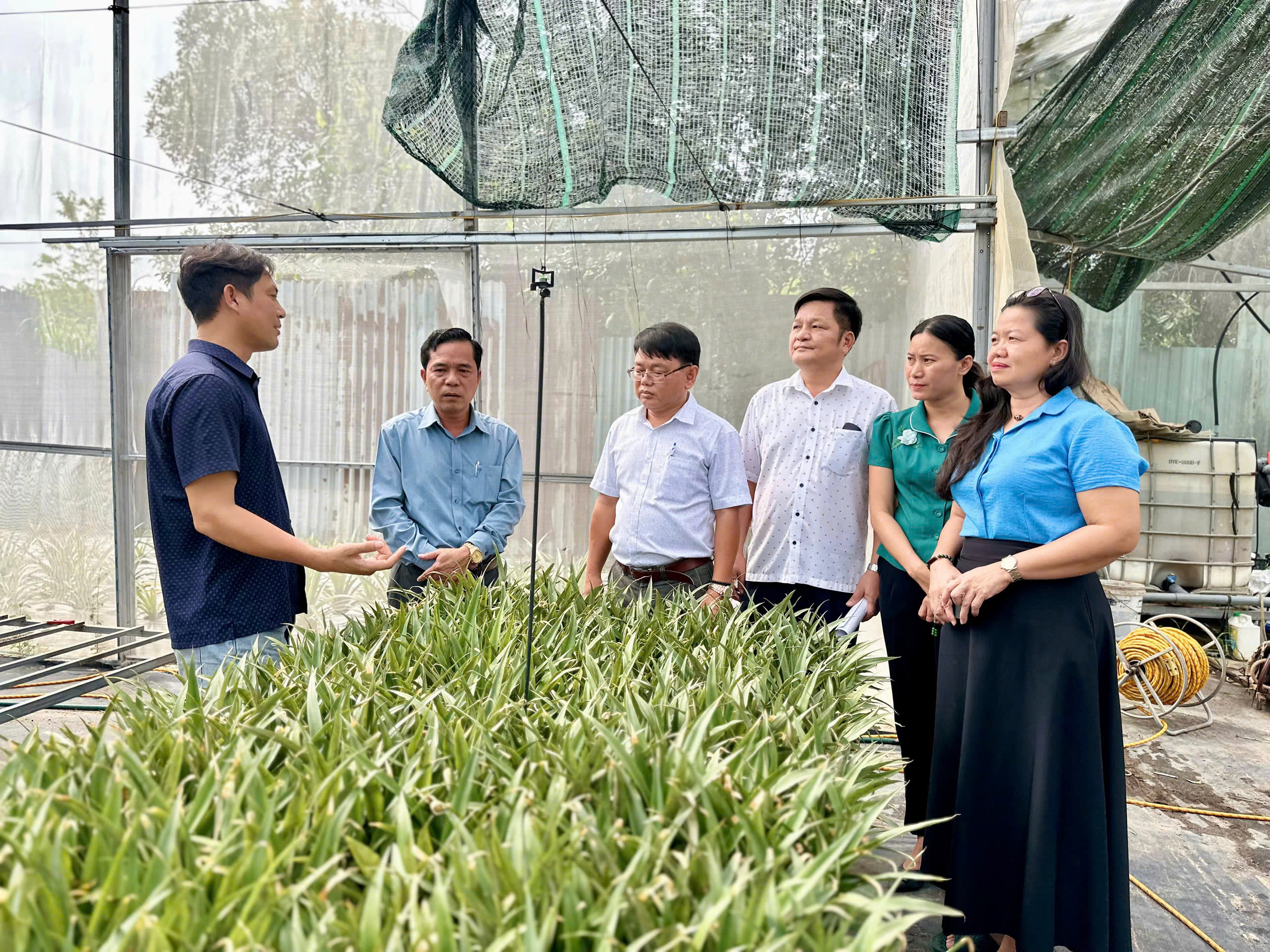 Đoàn giám sát của Thường trực HĐND xã khảo sát tại HTX Phước Thành