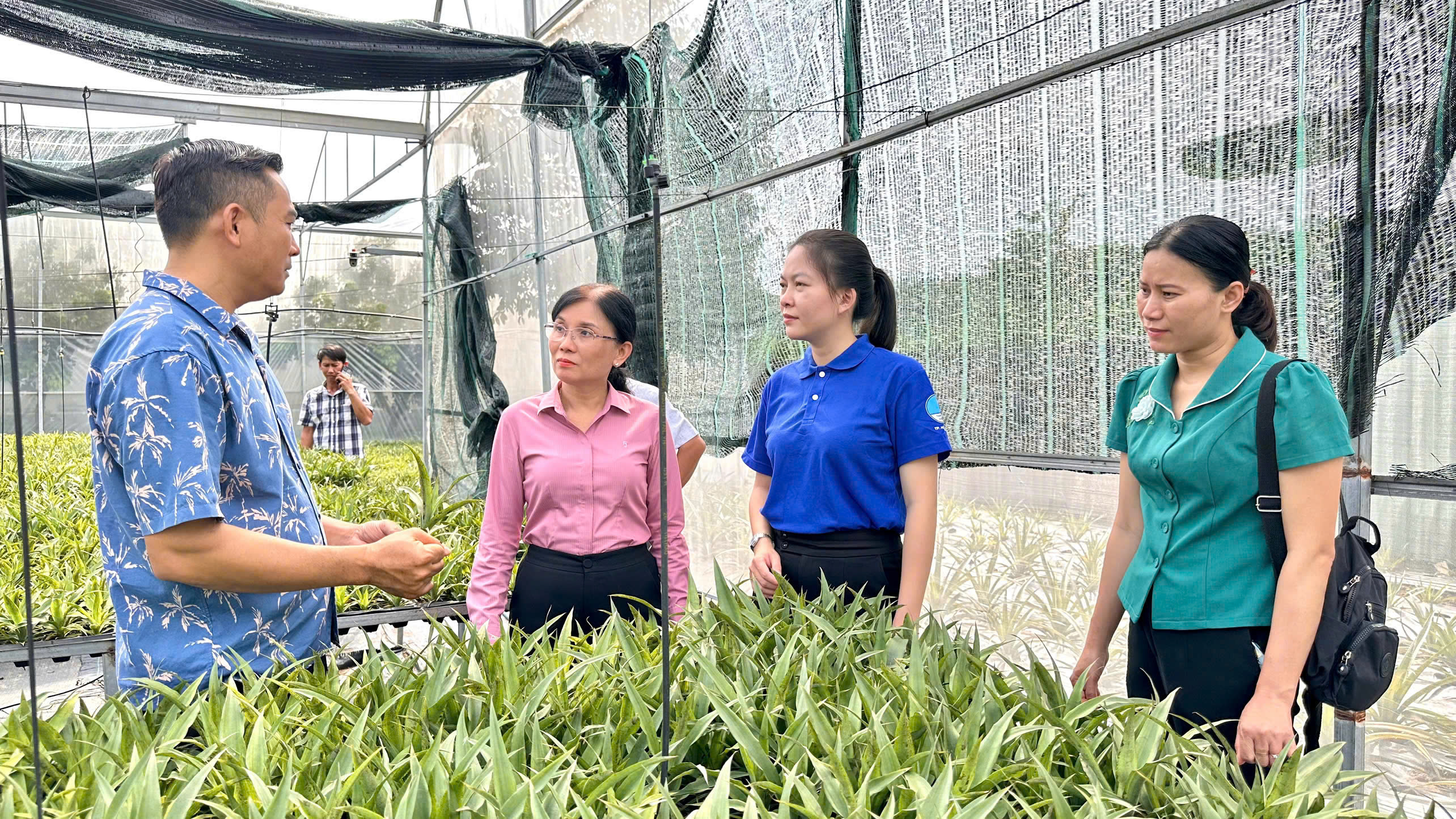 Đoàn giám sát của Thường trực HĐND xã khảo sát tại HTX Phước Thành